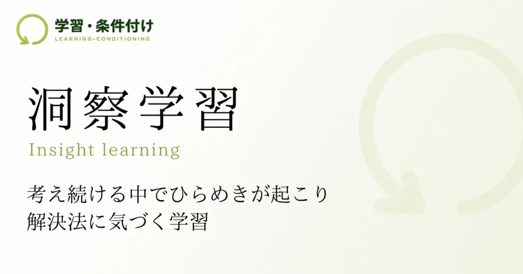洞察学習