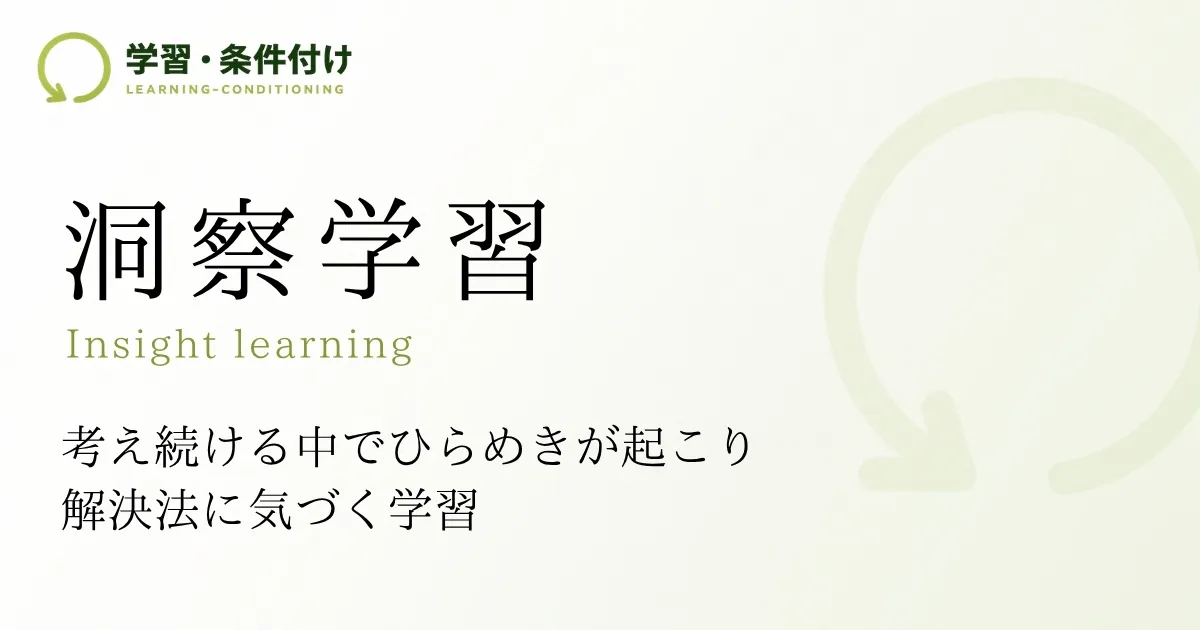 洞察学習