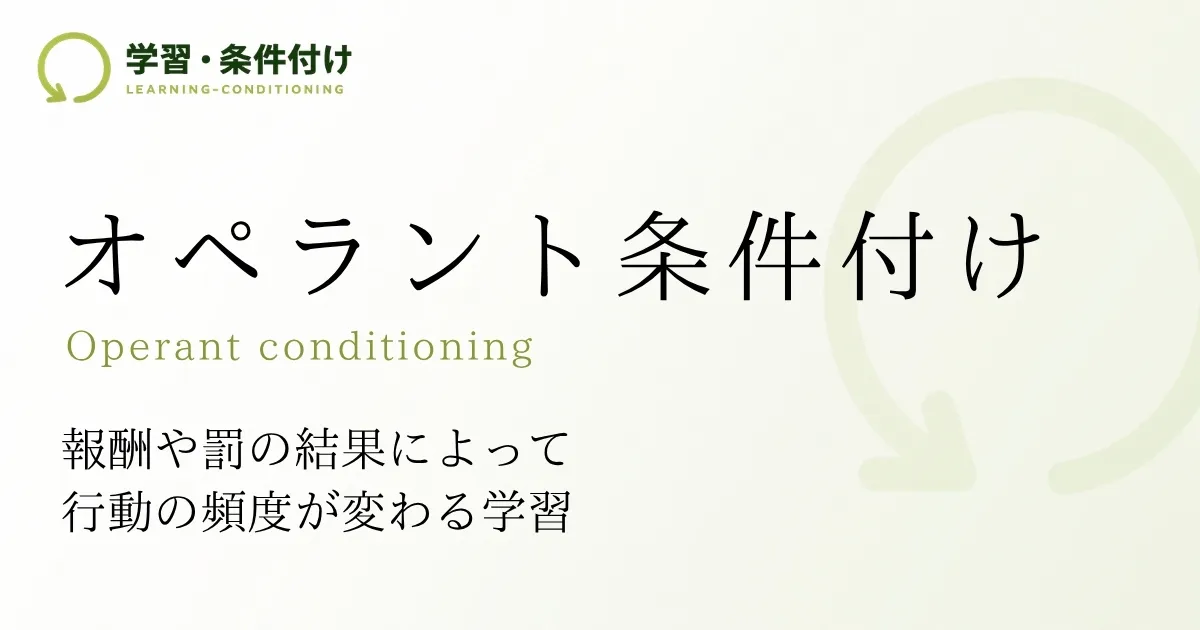 オペラント条件付けとは？具体例をわかりやすく解説