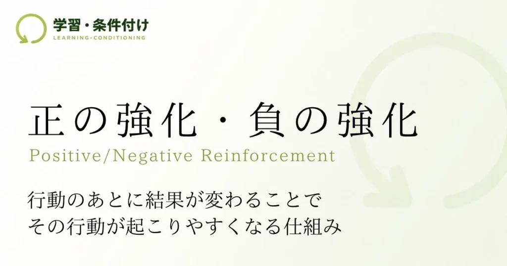 正の強化・負の強化
