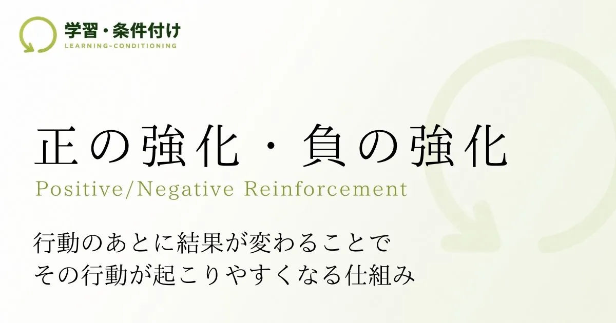 正の強化・負の強化