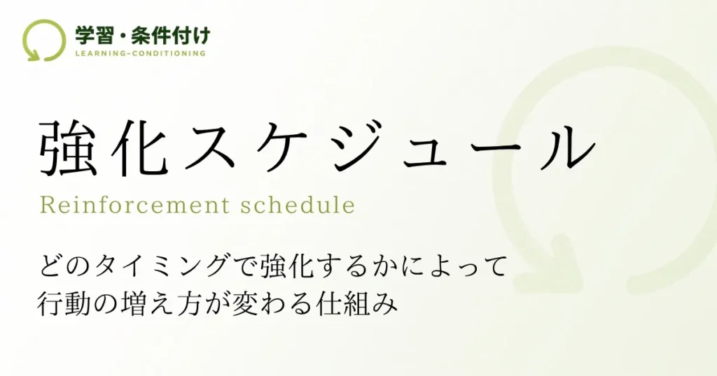 強化スケジュール