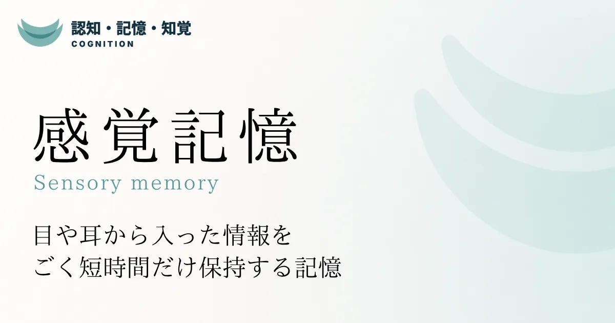 感覚記憶
