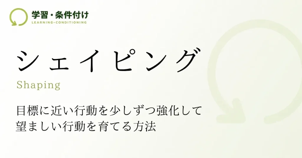 シェイピング