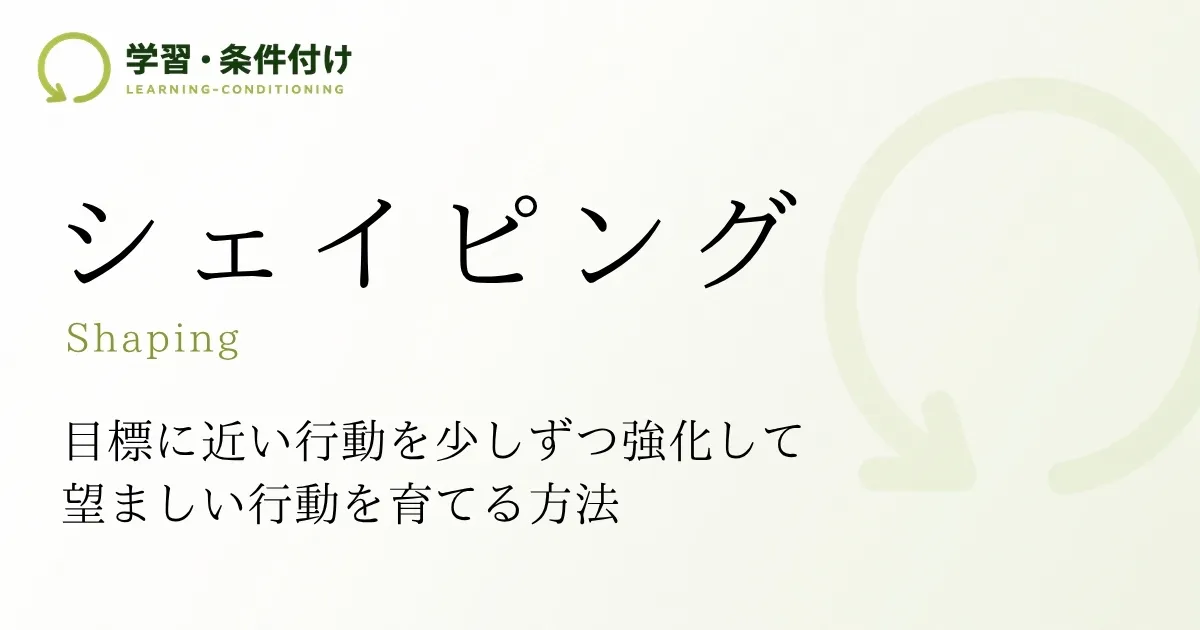 シェイピング